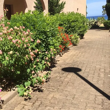 Apartamento Cosy En Bord De Avec Piscine San-Nicolao