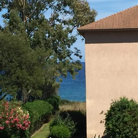 Cosy En Bord De Avec Piscine * San-Nicolao